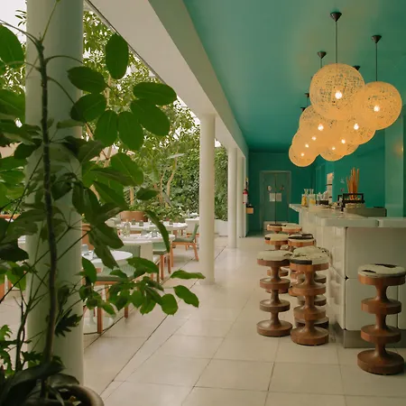 Condesa Df, Mexico City, A Member Of Design Hotels
