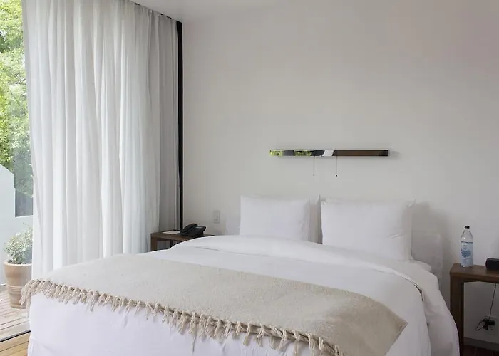 Hotel Condesa Df, City, A Member Of Design Mexico City
