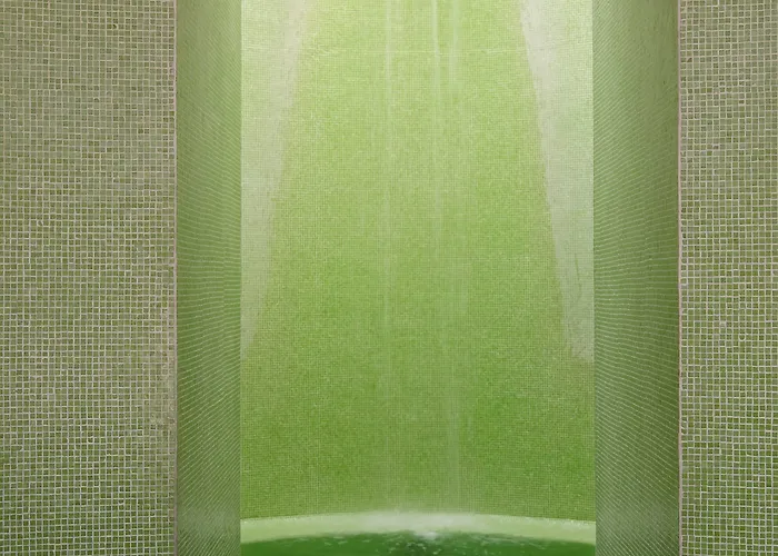 Condesa Df, City, A Member Of Design