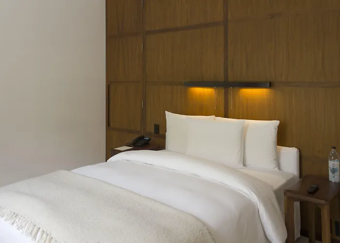 Condesa Df, City, A Member Of Design Hotel Mexiko-Stadt