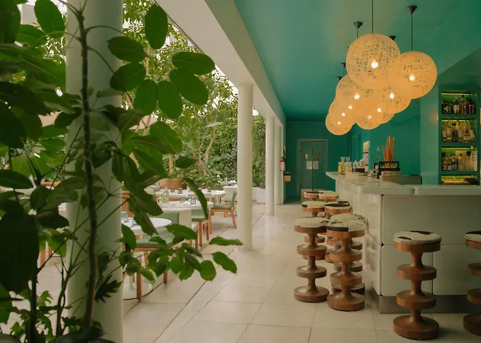 Condesa Df, City, A Member Of Design Mexiko-Stadt