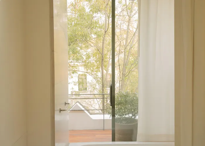 Condesa Df, City, A Member Of Design